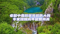 老鼠中毒后裝死咬傷大媽 專家提醒成年鼠智商高
