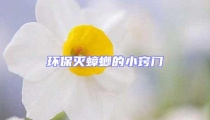 環(huán)保滅蟑螂的小竅門