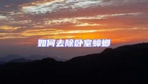 如何去除臥室蟑螂
