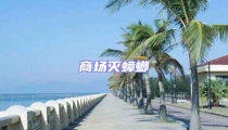 商場滅蟑螂