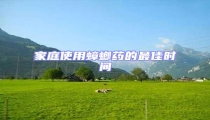 家庭使用蟑螂藥的最佳時(shí)間