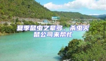 夏季鼠蟲之輩多,殺蟲滅鼠公司來幫忙