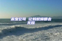 殺蟲公司 讓螞蟻蟑螂去無蹤