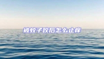 被蚊子咬后怎么止癢
