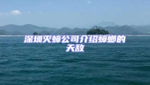 深圳滅蟑公司介紹蟑螂的天敵