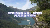 除蟲公司教大家:臭蟲如何滅殺如何預防