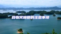 藥物滅蟑螂的注意事項(xiàng)