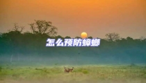 怎么預防蟑螂