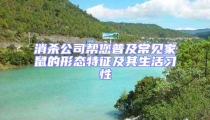 消殺公司幫您普及常見家鼠的形態特征及其生活習性