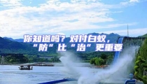 你知道嗎?對付白蟻,“防”比“治”更重要