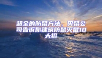 超全的防鼠方法,滅鼠公司告訴你建筑防鼠滅鼠10大招