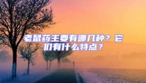 老鼠藥主要有哪幾種？它們有什么特點(diǎn)？