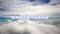 鼠類的危害及鼠害原因