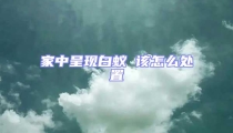 家中呈現(xiàn)白蟻 該怎么處置