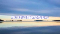 深圳專業(yè)白蟻防治公司