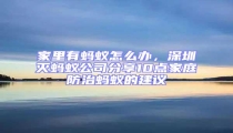 家里有螞蟻怎么辦,深圳滅螞蟻公司分享10點家庭防治螞蟻的建議