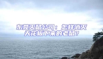 東莞滅鼠公司:怎樣消滅天花板下來的老鼠?