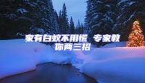 家有白蟻不用慌 專家教你兩三招