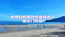 發(fā)現(xiàn)白蟻需找專業(yè)技術(shù)人員上門滅治