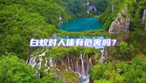 白蟻對人體有危害嗎?