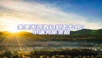 家里發(fā)現(xiàn)有白蟻怎么辦?小編為你支招