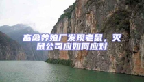 畜禽養殖廠發現老鼠,滅鼠公司應如何應對
