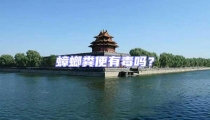蟑螂糞便有毒嗎?