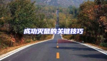 成功滅鼠的關鍵技巧