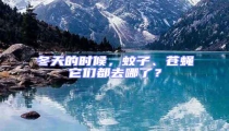 冬天的時候,蚊子、蒼蠅它們都去哪了?