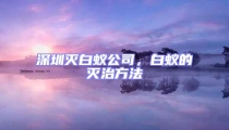 深圳滅白蟻公司,白蟻的滅治方法