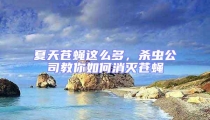 夏天蒼蠅這么多,殺蟲公司教你如何消滅蒼蠅