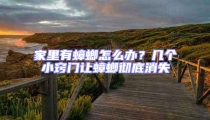 家里有蟑螂怎么辦?幾個小竅門讓蟑螂徹底消失