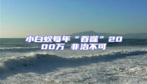 小白蟻每年“吞噬”2000萬(wàn) 非治不可