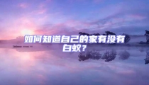 如何知道自己的家有沒有白蟻?