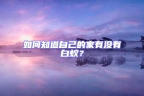 如何知道自己的家有沒有白蟻？