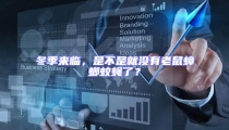 冬季來臨,是不是就沒有老鼠蟑螂蚊蠅了?