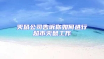滅鼠公司告訴你如何進行超市滅鼠工作