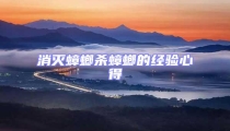 消滅蟑螂殺蟑螂的經驗心得
