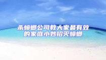 殺蟑螂公司教大家最有效的家庭小妙招滅蟑螂