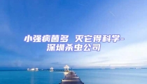 小強病菌多 滅它得科學-深圳殺蟲公司