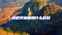 網吧滅蟑螂用什么藥好