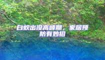 白蟻出沒高峰期,家居預防有妙招