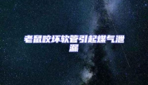 老鼠咬壞軟管引起煤氣泄漏