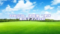 白蟻公司:墻板里“埋伏”著成千上萬白蟻