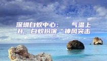 深圳白蟻中心:  氣溫上升,白蟻扮演“神風突擊”