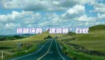 搞破壞的“建筑師”白蟻