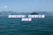 深圳白蟻站：白蟻的主巢和副巢
