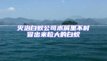滅治白蟻公司木屑里不時冒出米粒大的白蟻