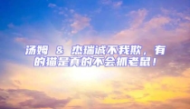 湯姆 & 杰瑞誠不我欺,有的貓是真的不會抓老鼠!