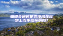 蟑螂會通過把糞便留在食物上而傳播疾病嗎?